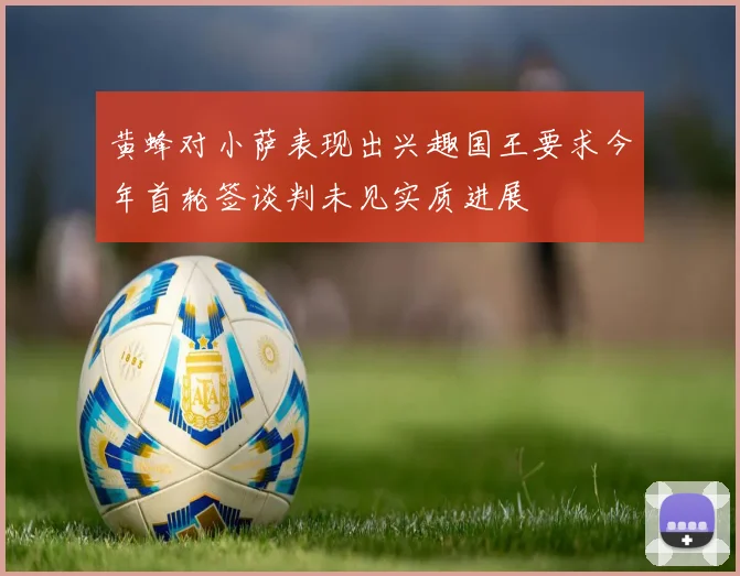 黄蜂对小萨表现出兴趣国王要求今年首轮签谈判未见实质进展